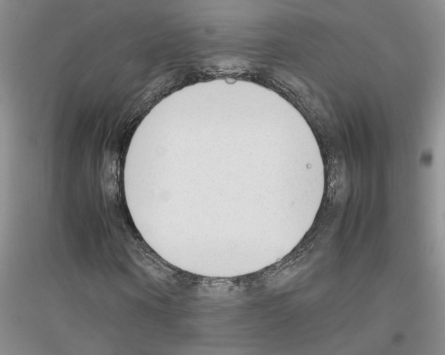 X0000116880866201002021146