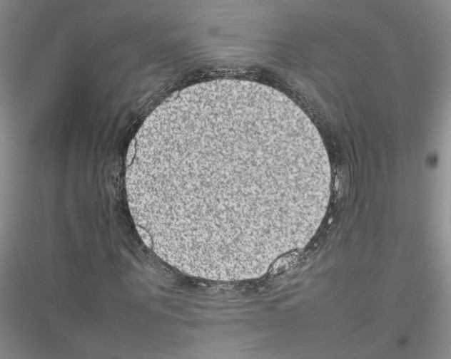 X0000116880867201002021146