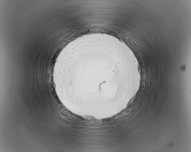 X0000116880868201002021146