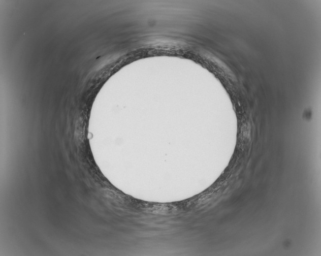 X0000116880869201002021146