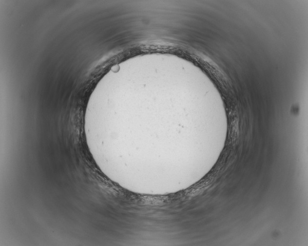 X0000116880870201002021146