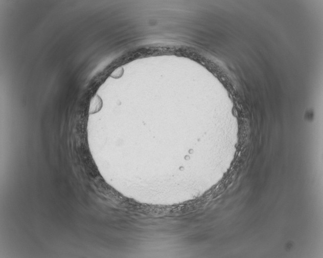 X0000116880871201002021146