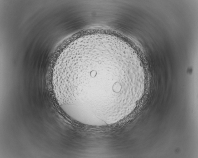 X0000116880872201002021146