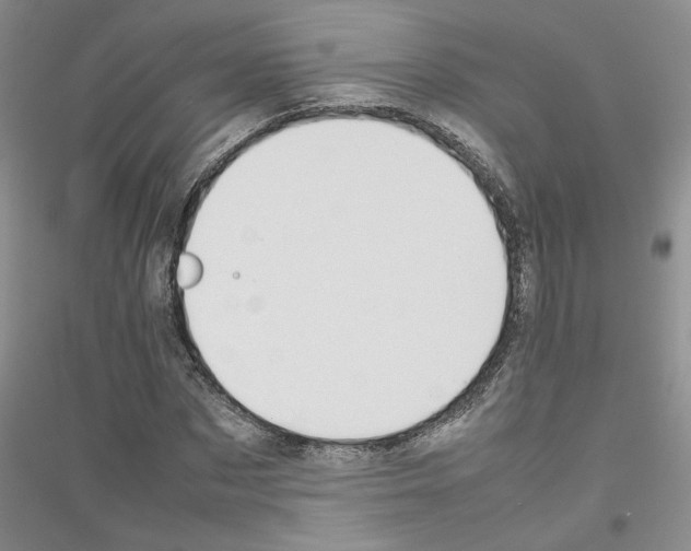 X0000116880873201002021146