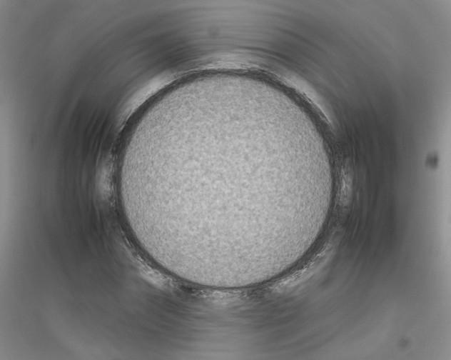X0000116880874201002021146