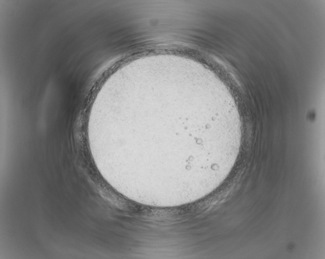 X0000116880875201002021146