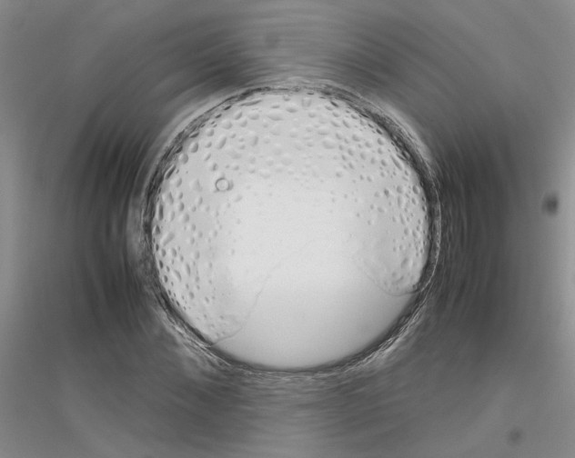 X0000116880876201002021146