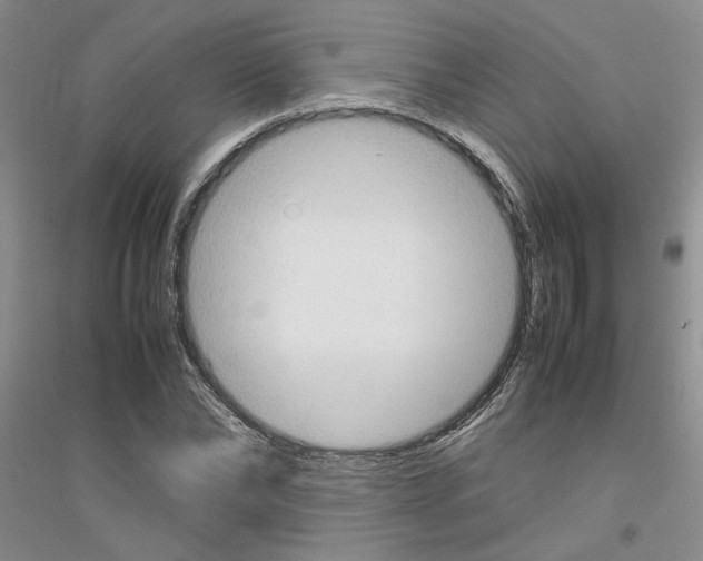 X0000116880878201002021146