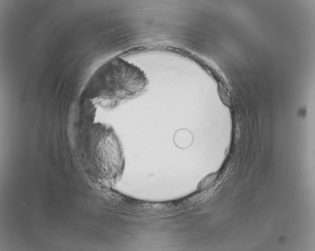 X0000116880879201002021146