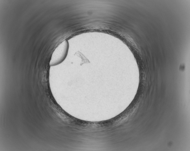 X0000116880881201002021146