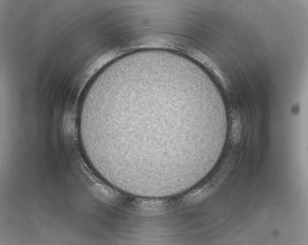 X0000116880882201002021146