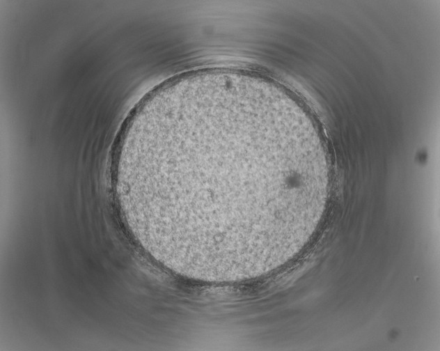 X0000116880883201002021146
