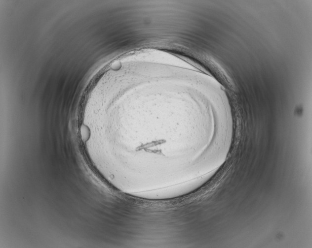 X0000116880884201002021146