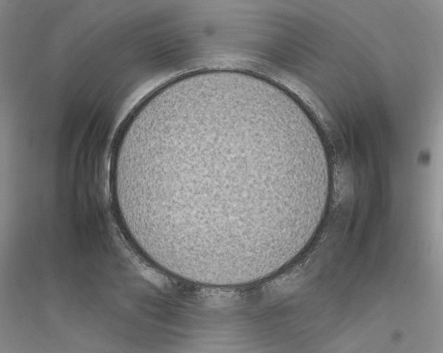 X0000116880886201002021146