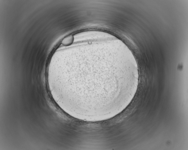 X0000116880888201002021146