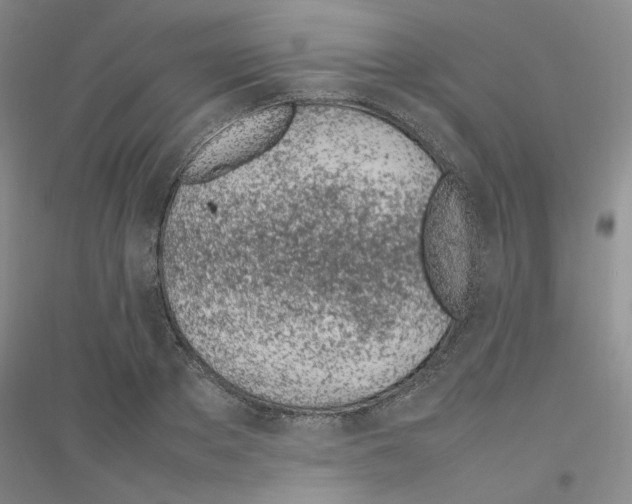 X0000116880889201002021146