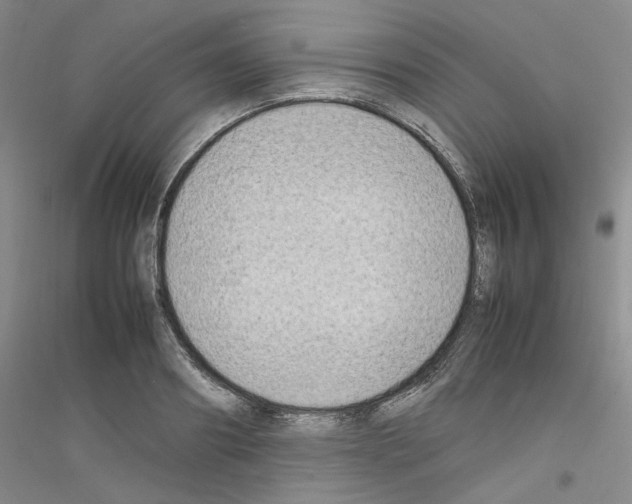 X0000116880890201002021146