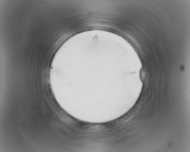 X0000116880891201002021146