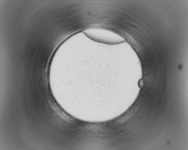 X0000116880892201002021146