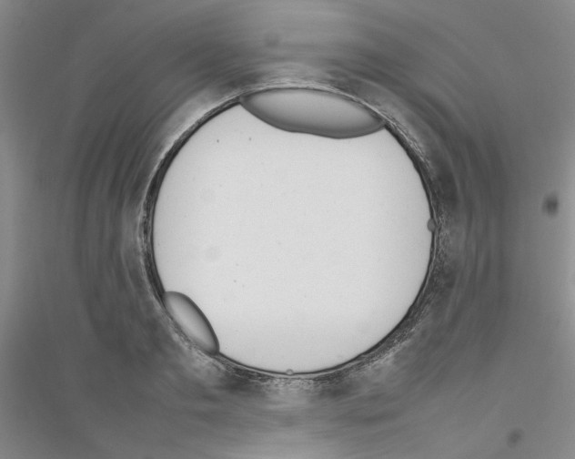 X0000116880893201002021146