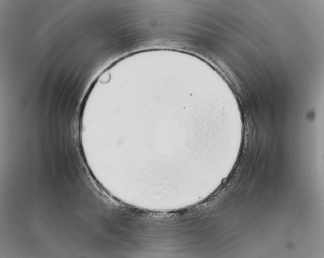 X0000116880896201002021146