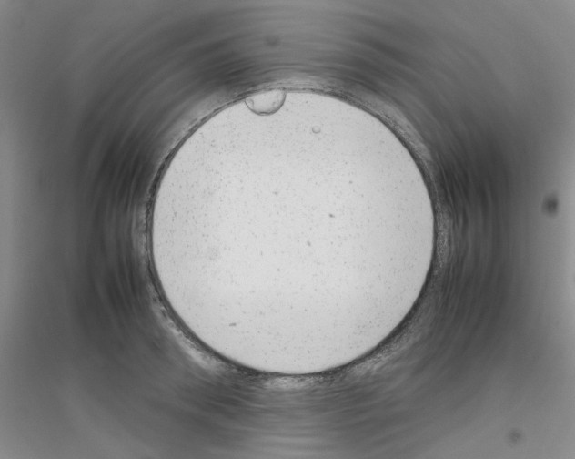 X0000116880898201002021146