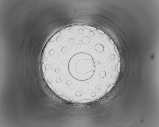 X0000116880899201002021146