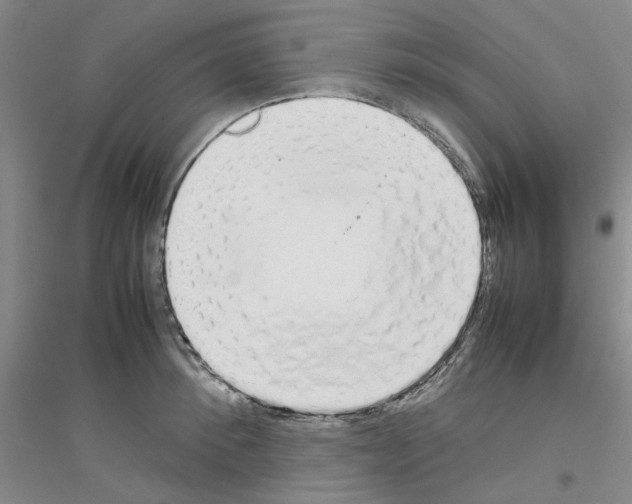 X0000116880900201002021146