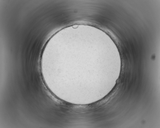 X0000116880902201002021146