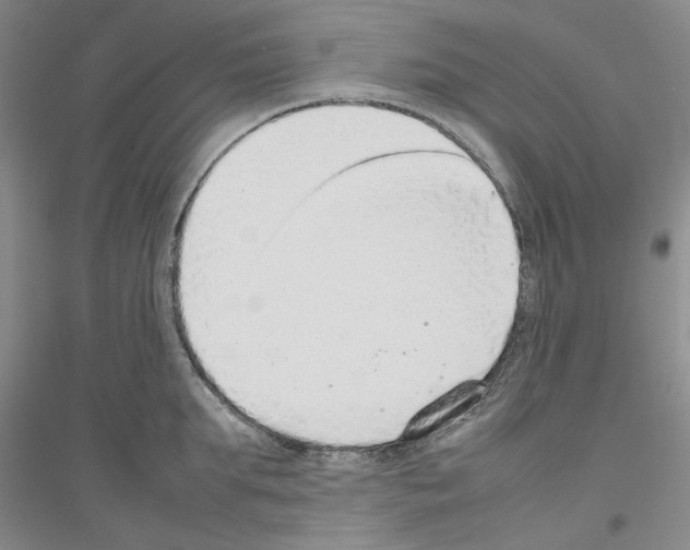 X0000116880903201002021146