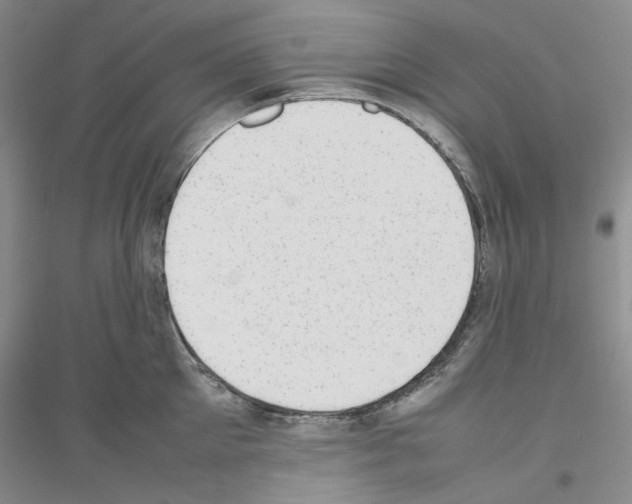 X0000116880905201002021145