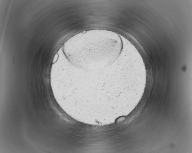 X0000116880908201002021145
