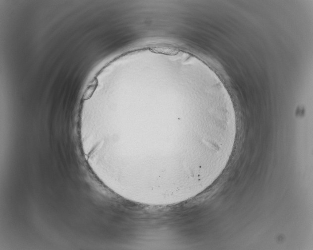 X0000116880912201002021145