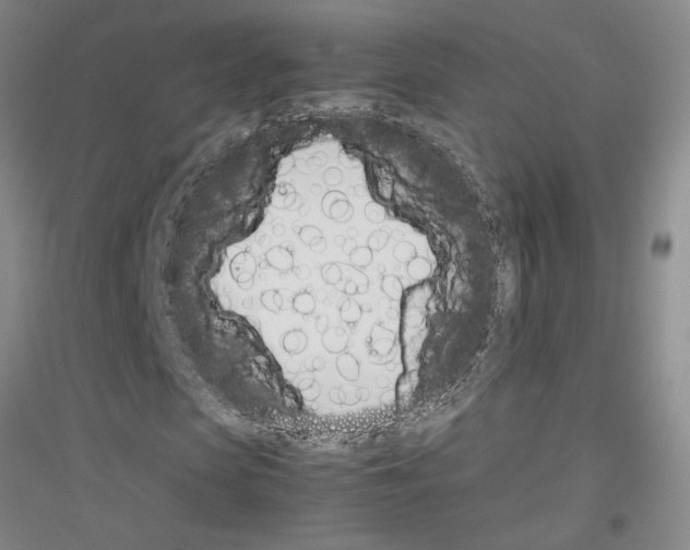 X0000116880913201002021145