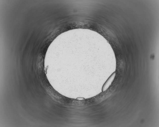X0000116880914201002021145