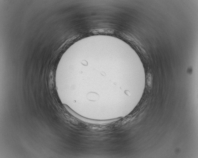 X0000116880915201002021145