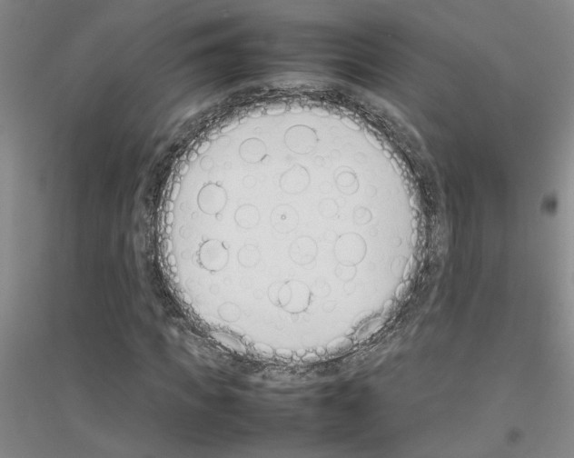 X0000116880917201002021145