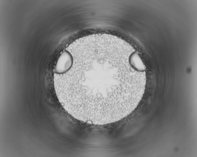 X0000116880918201002021145