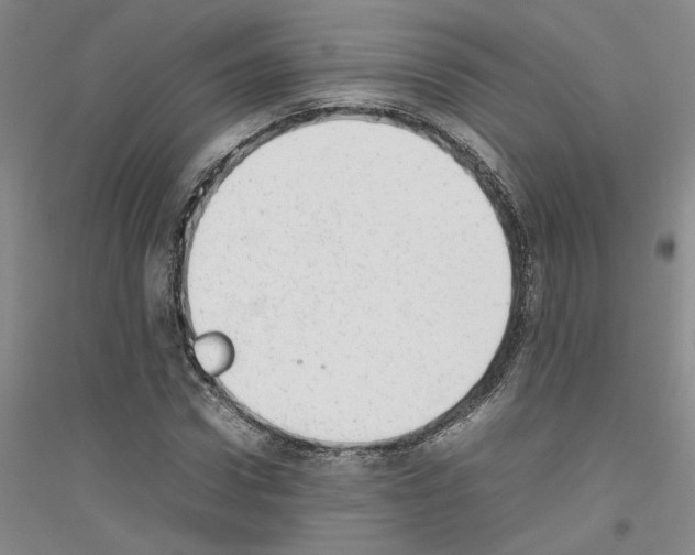X0000116880922201002021145