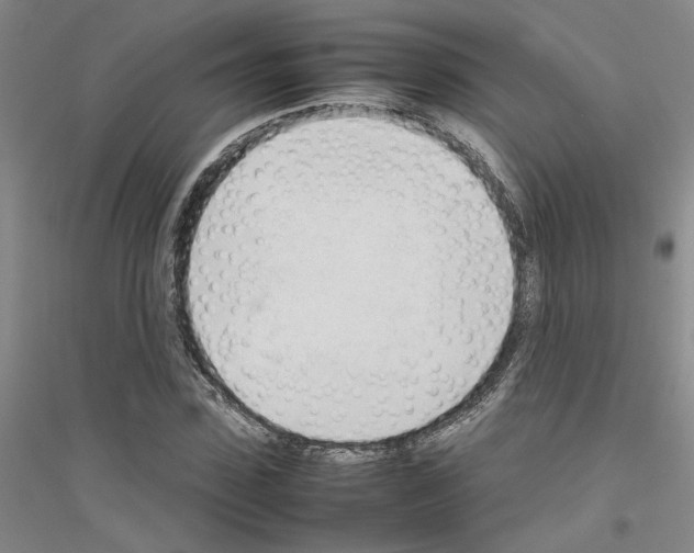 X0000116880923201002021145