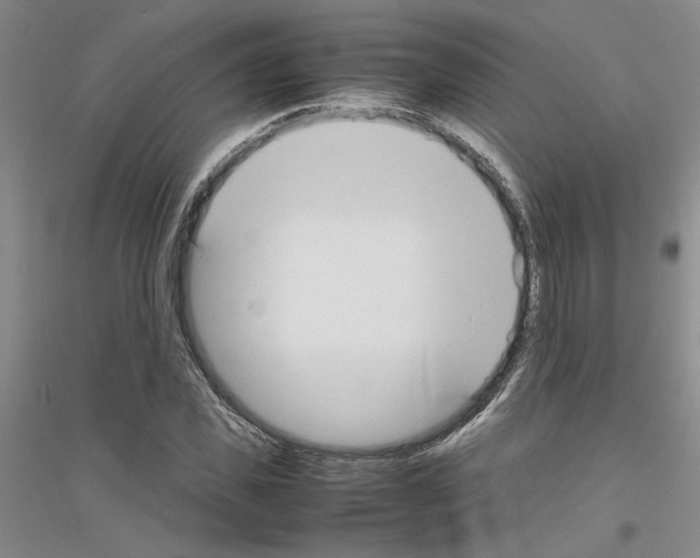 X0000116880925201002021145