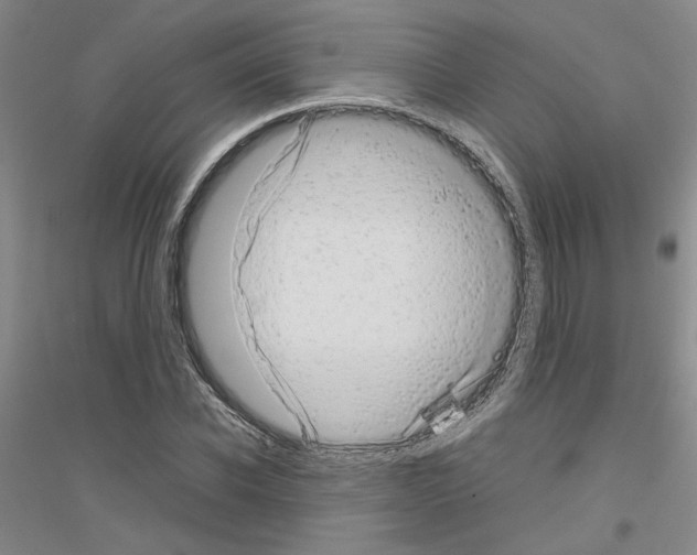 X0000116880926201002021145