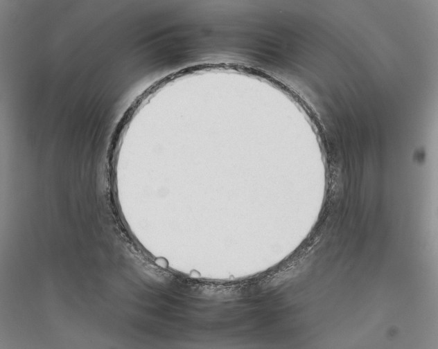 X0000116880927201002021145