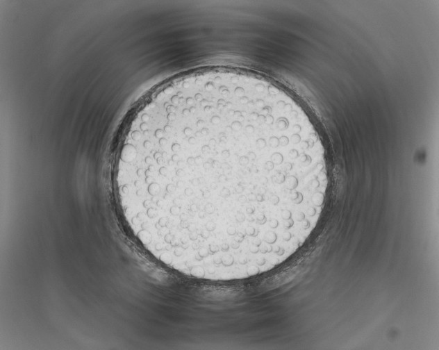 X0000116880931201002021145