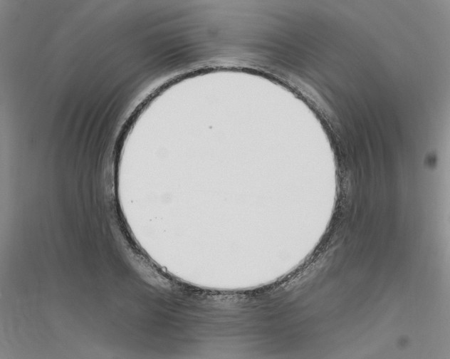 X0000116880934201002021145