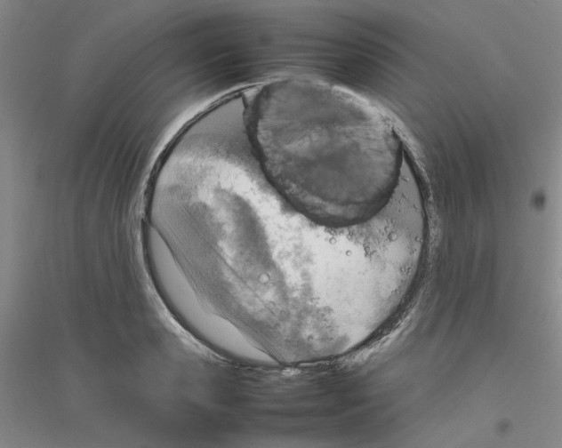 X0000116880941201002021145