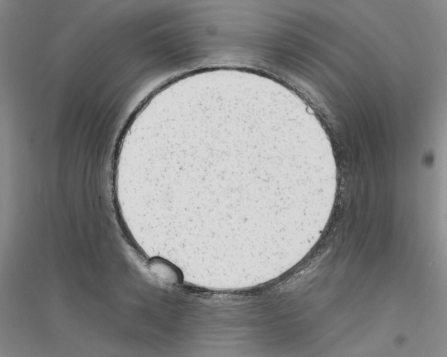 X0000116880942201002021145