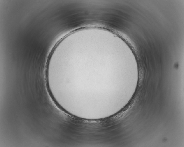 X0000116880943201002021145