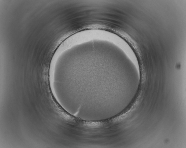 X0000116880945201002021145
