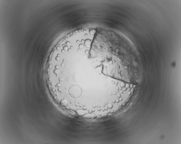 X0000116880949201002021145